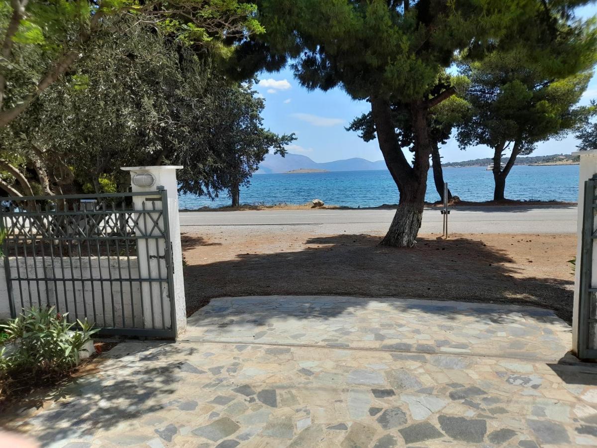 Elea Guesthouse Galaxídhion Dış mekan fotoğraf