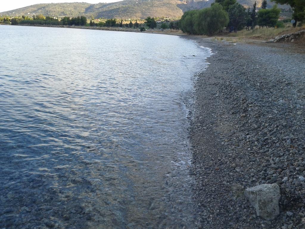 Elea Guesthouse Galaxídhion Oda fotoğraf