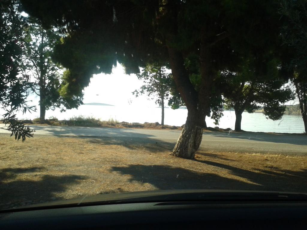 Elea Guesthouse Galaxídhion Oda fotoğraf