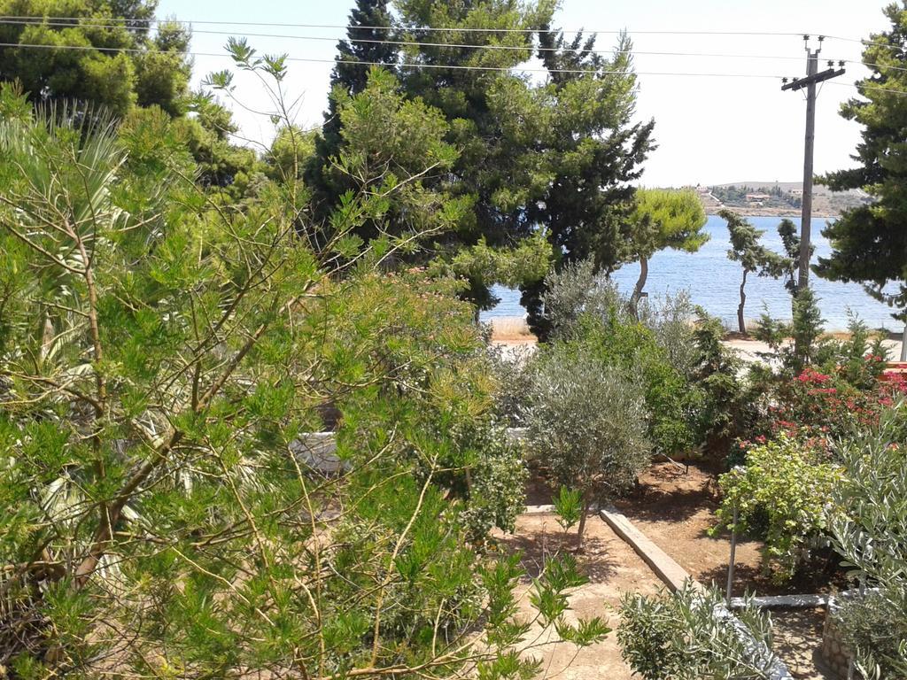 Elea Guesthouse Galaxídhion Dış mekan fotoğraf