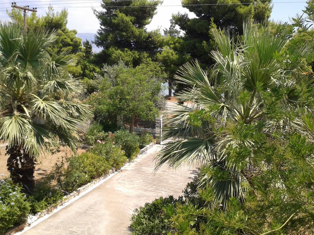 Elea Guesthouse Galaxídhion Dış mekan fotoğraf