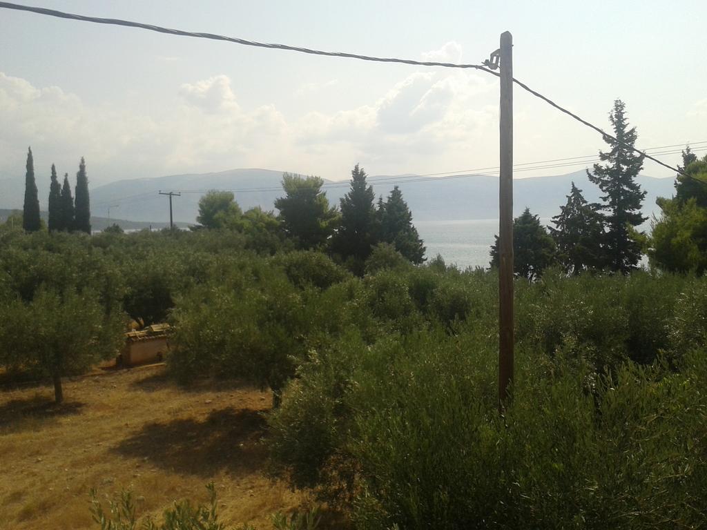 Elea Guesthouse Galaxídhion Dış mekan fotoğraf