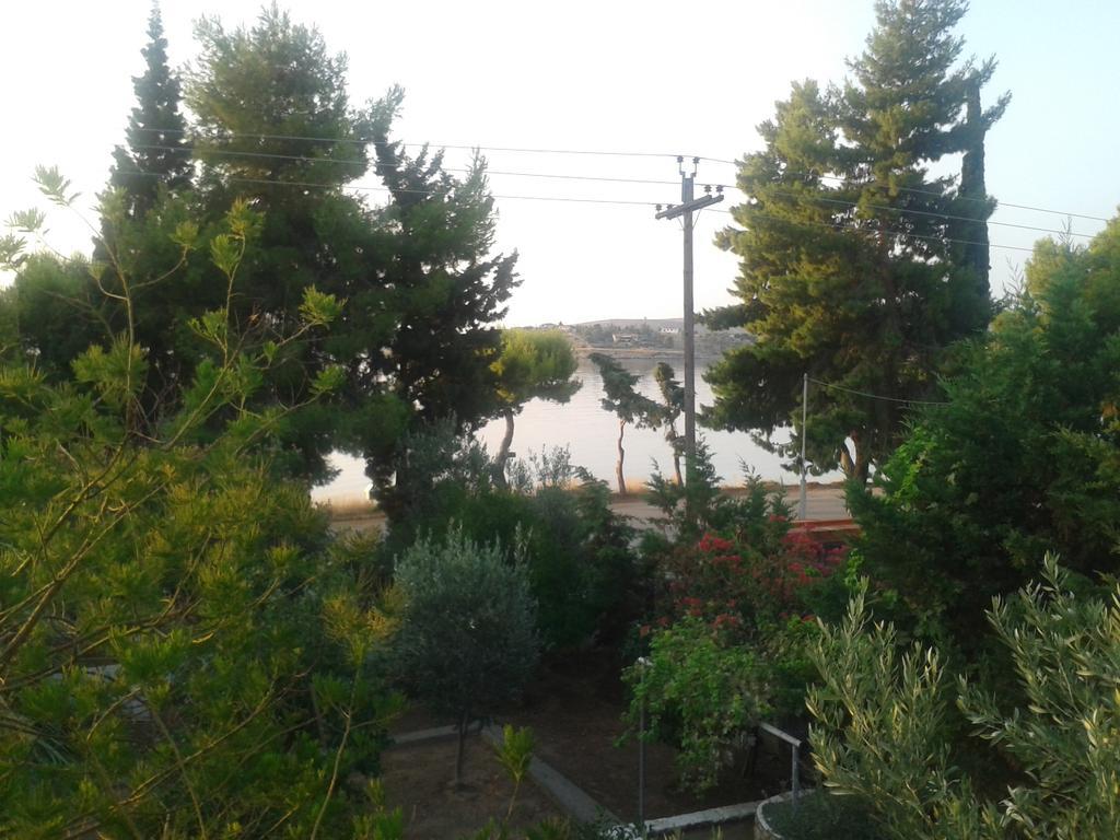 Elea Guesthouse Galaxídhion Dış mekan fotoğraf