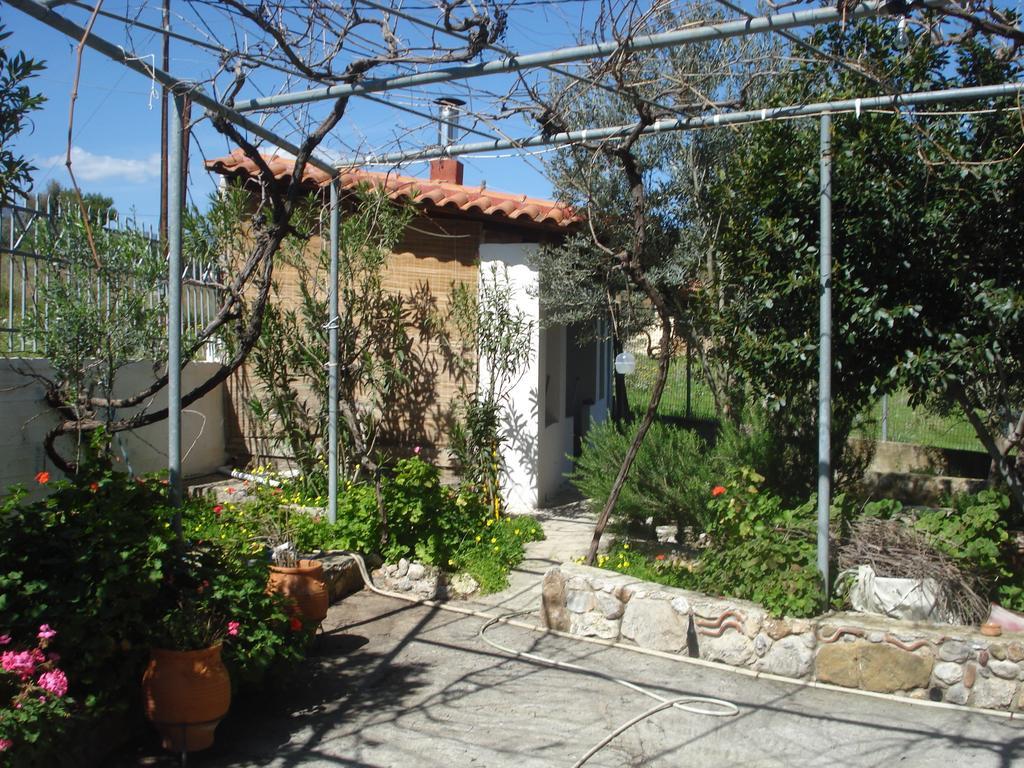 Elea Guesthouse Galaxídhion Dış mekan fotoğraf