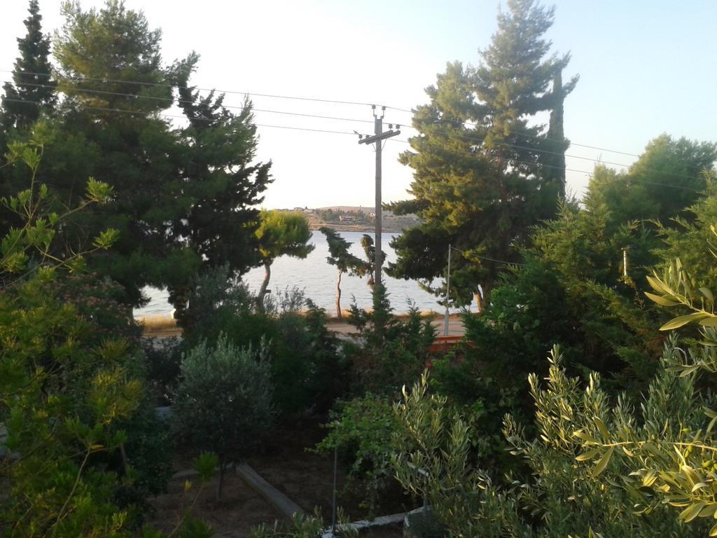 Elea Guesthouse Galaxídhion Dış mekan fotoğraf