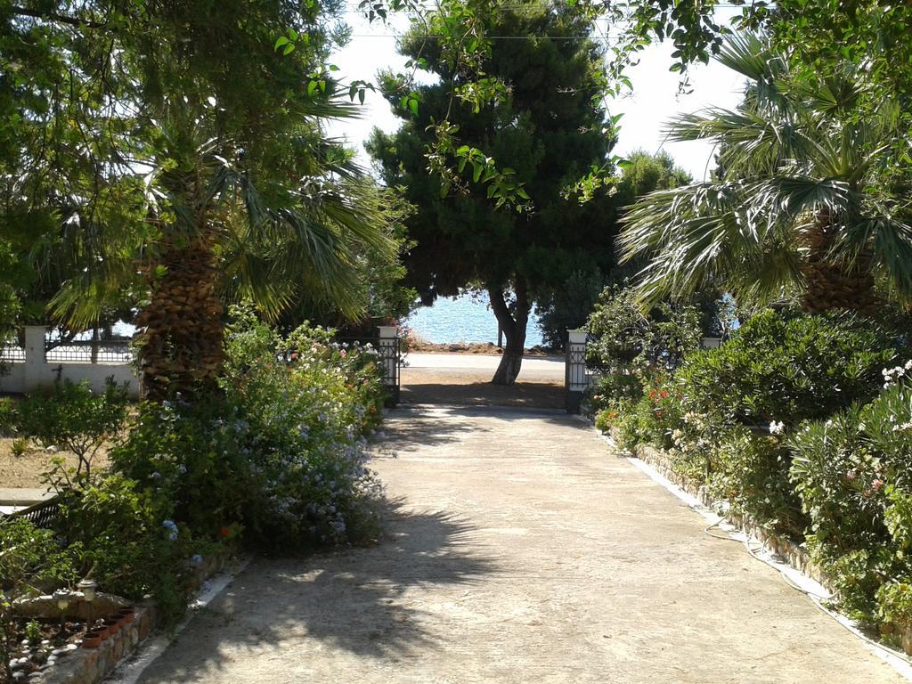 Elea Guesthouse Galaxídhion Oda fotoğraf