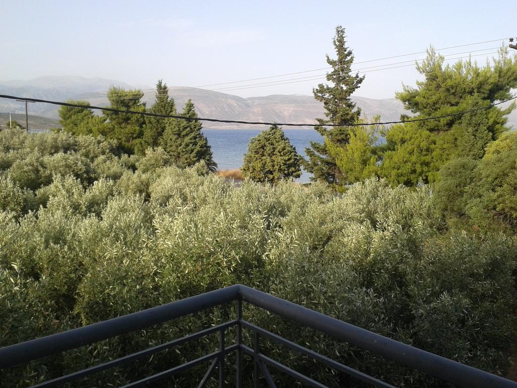 Elea Guesthouse Galaxídhion Oda fotoğraf