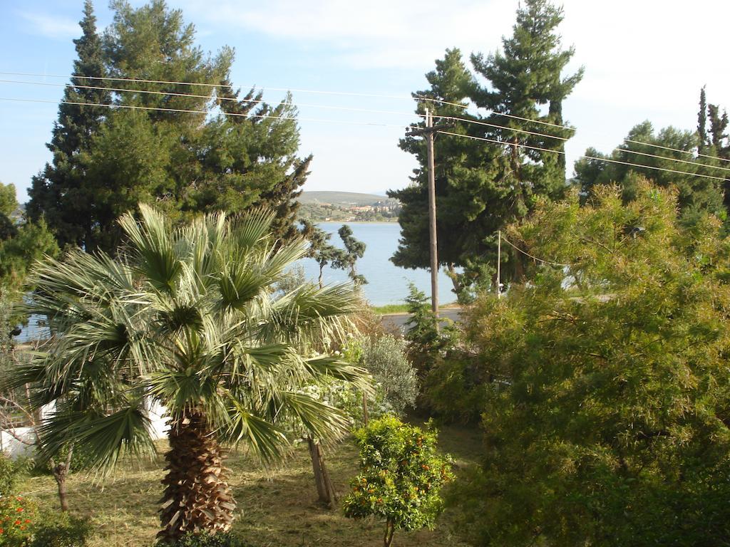 Elea Guesthouse Galaxídhion Dış mekan fotoğraf