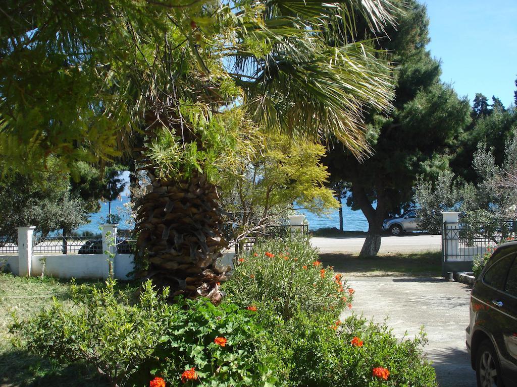Elea Guesthouse Galaxídhion Dış mekan fotoğraf