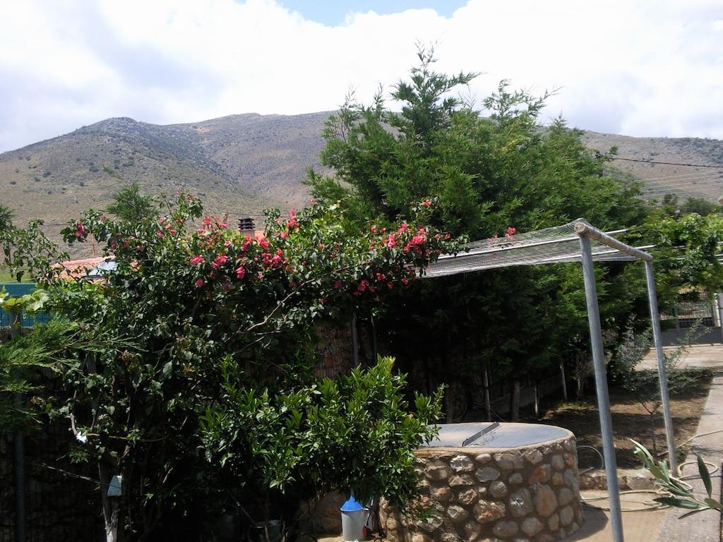 Elea Guesthouse Galaxídhion Dış mekan fotoğraf