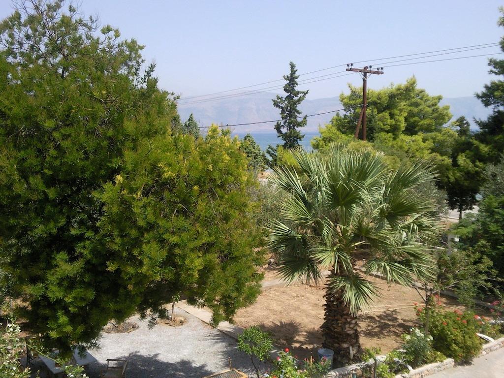 Elea Guesthouse Galaxídhion Dış mekan fotoğraf