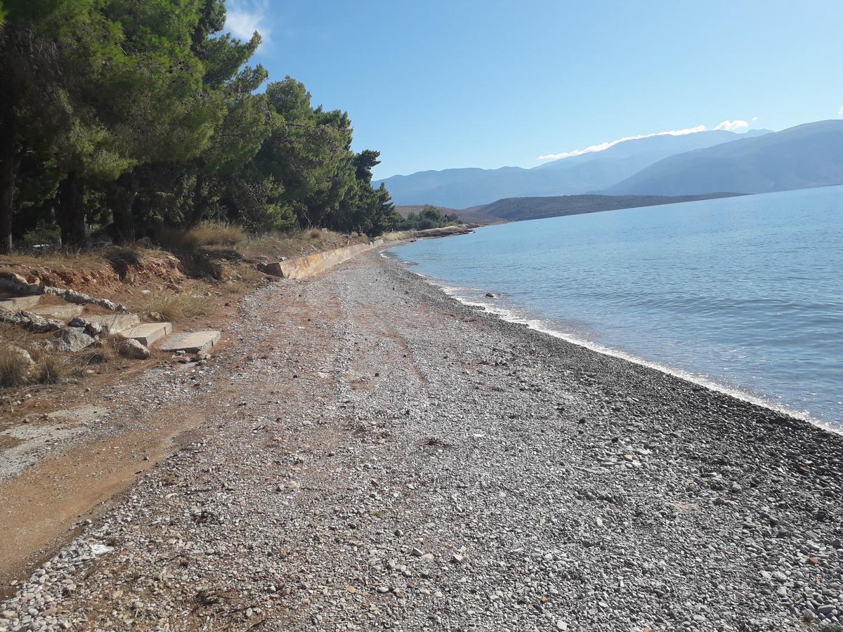 Elea Guesthouse Galaxídhion Dış mekan fotoğraf
