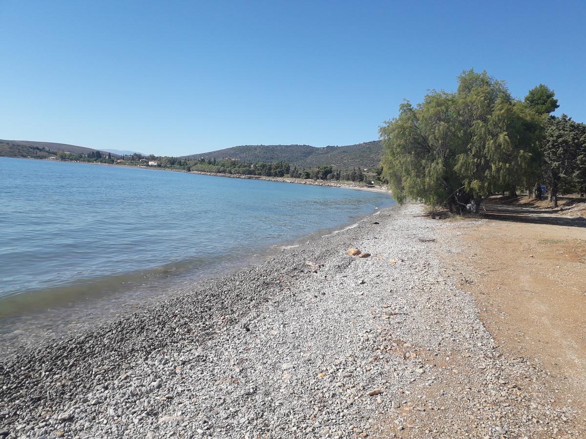 Elea Guesthouse Galaxídhion Dış mekan fotoğraf