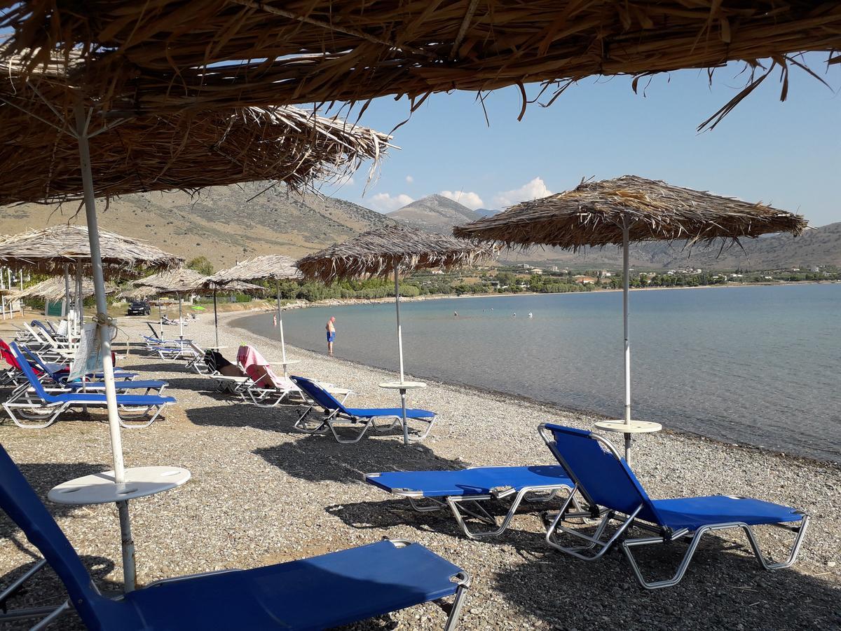 Elea Guesthouse Galaxídhion Dış mekan fotoğraf