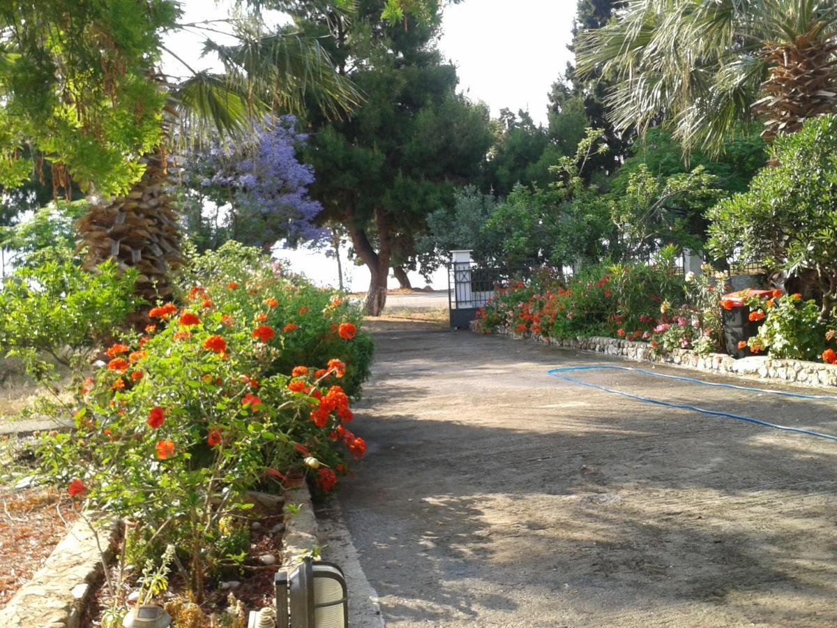 Elea Guesthouse Galaxídhion Oda fotoğraf
