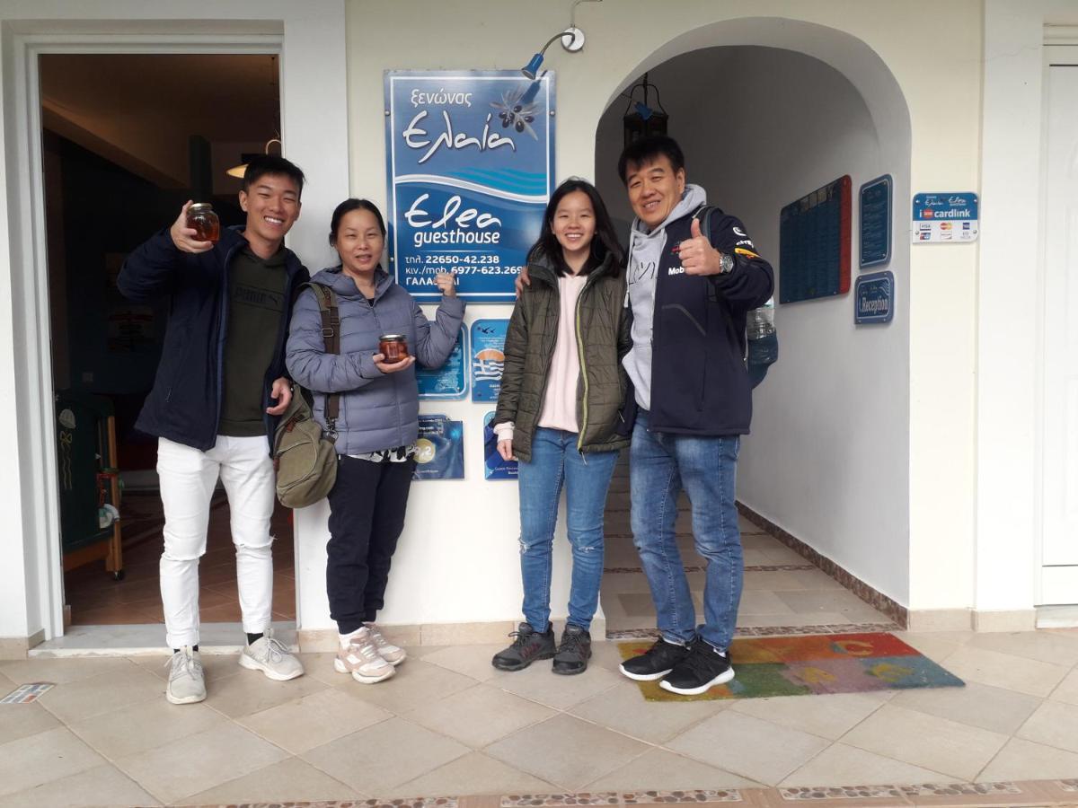 Elea Guesthouse Galaxídhion Dış mekan fotoğraf